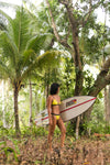 Eco Tri Sport Bottom (Yellow & Dark Gray)